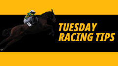 Image for Timeform's tipping column for Betfair with bets on Tuesday September 22